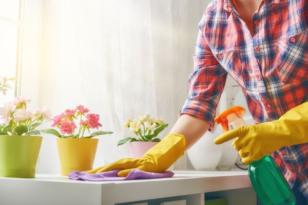First house cleaning Boston