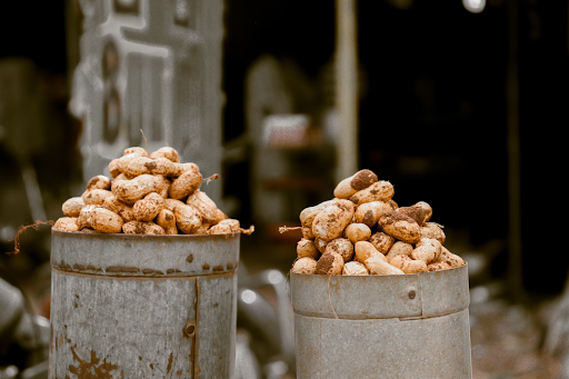 Peanuts Packed Perfectly: How Automation Transforms Snack Packaging
