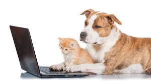Buying and Selling Pets Online