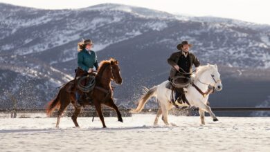 equestrian trips