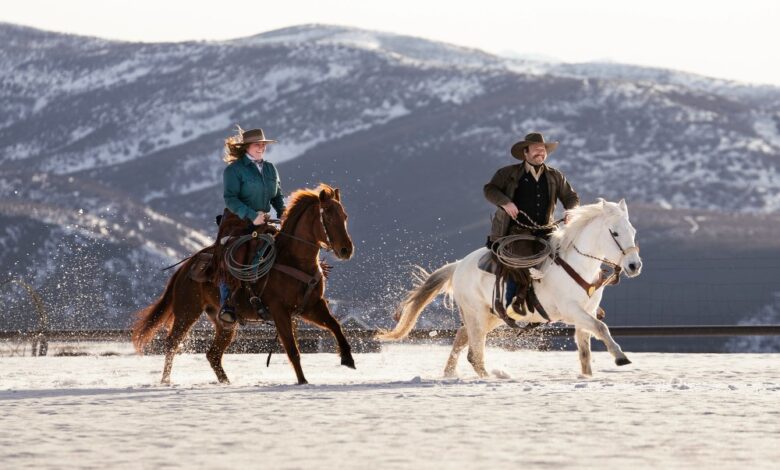 equestrian trips