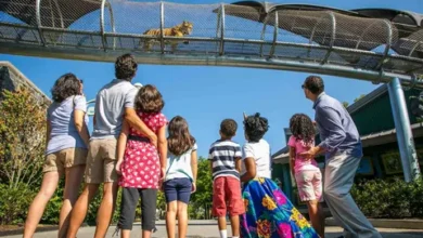 Family Fun Awaits: Kid-Friendly Activities Near Nokomis