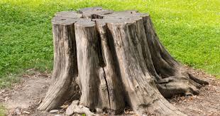 Leaving a Stump Behind