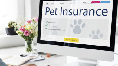 The Importance of Pet Insurance in Red Wing, MN