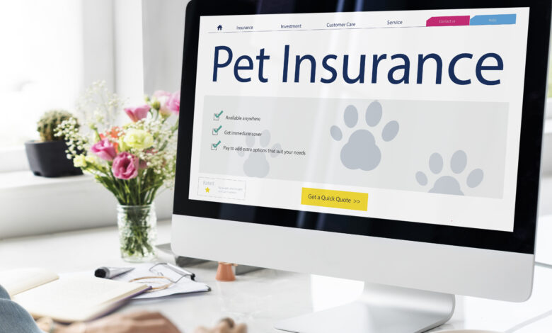 The Importance of Pet Insurance in Red Wing, MN