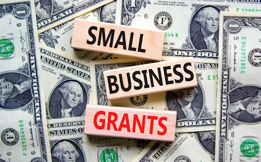 Government Grants Versus Private Foundation Grants
